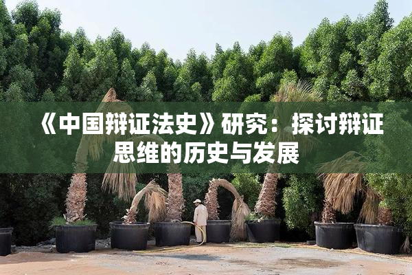《中国辩证法史》研究：探讨辩证思维的历史与发展