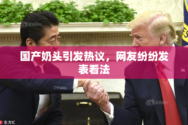 国产奶头引发热议，网友纷纷发表看法
