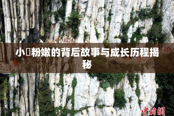 小泬粉嫩的背后故事与成长历程揭秘