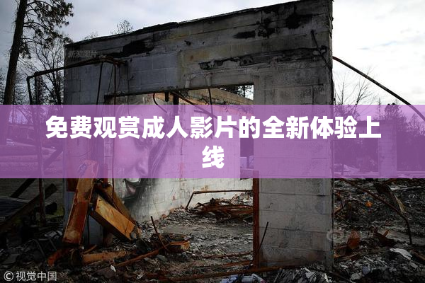 免费观赏成人影片的全新体验上线