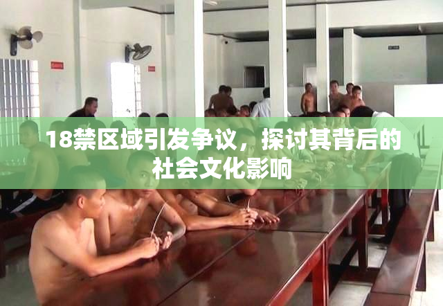 18禁区域引发争议，探讨其背后的社会文化影响