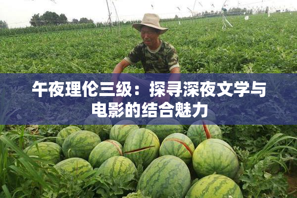 午夜理伦三级：探寻深夜文学与电影的结合魅力