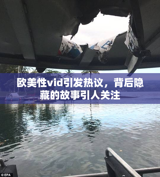 欧美性vid引发热议，背后隐藏的故事引人关注