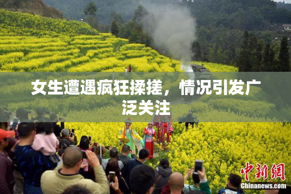女生遭遇疯狂揉搓，情况引发广泛关注