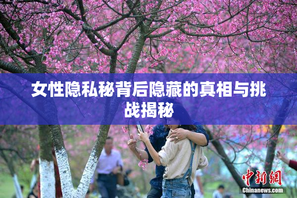 女性隐私秘背后隐藏的真相与挑战揭秘