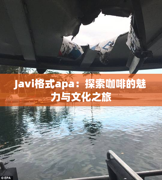 Javi格式apa：探索咖啡的魅力与文化之旅