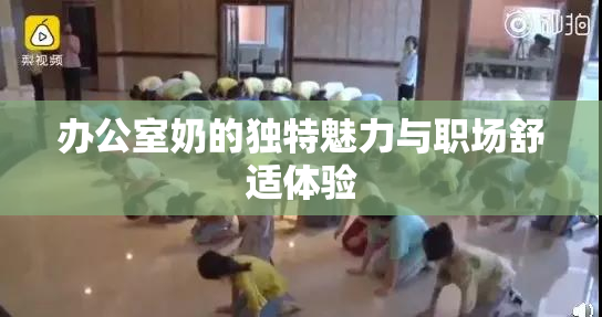 办公室奶的独特魅力与职场舒适体验