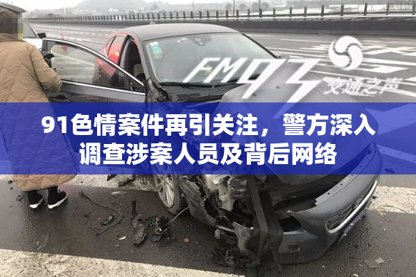 91色情案件再引关注，警方深入调查涉案人员及背后网络
