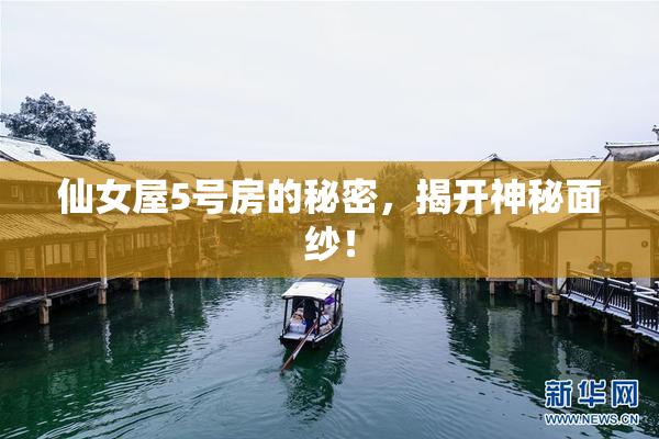 仙女屋5号房的秘密，揭开神秘面纱！