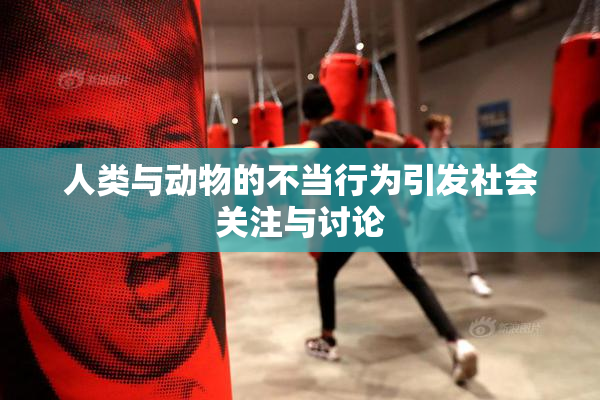 人类与动物的不当行为引发社会关注与讨论