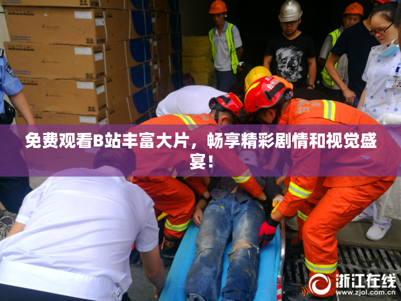 免费观看B站丰富大片，畅享精彩剧情和视觉盛宴！