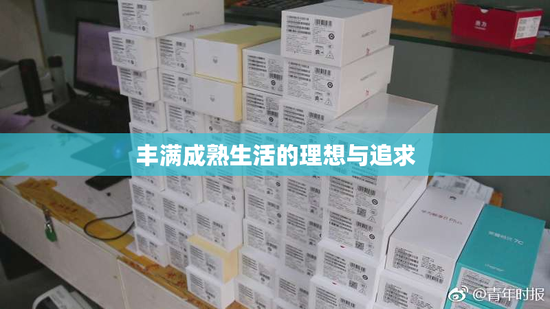 丰满成熟生活的理想与追求