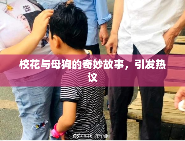校花与母狗的奇妙故事，引发热议