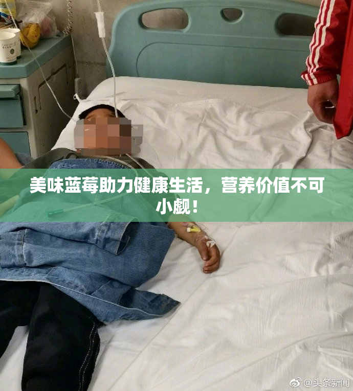 美味蓝莓助力健康生活，营养价值不可小觑！