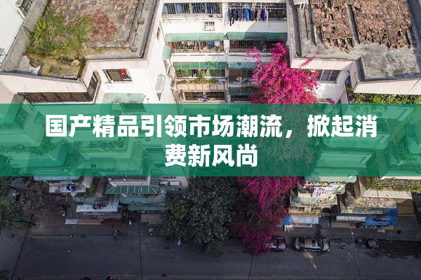 国产精品引领市场潮流，掀起消费新风尚