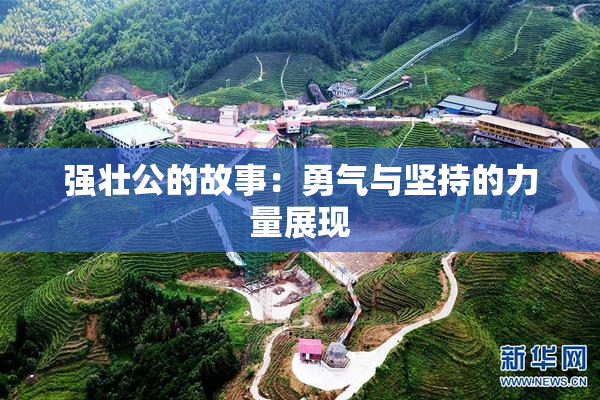 强壮公的故事：勇气与坚持的力量展现