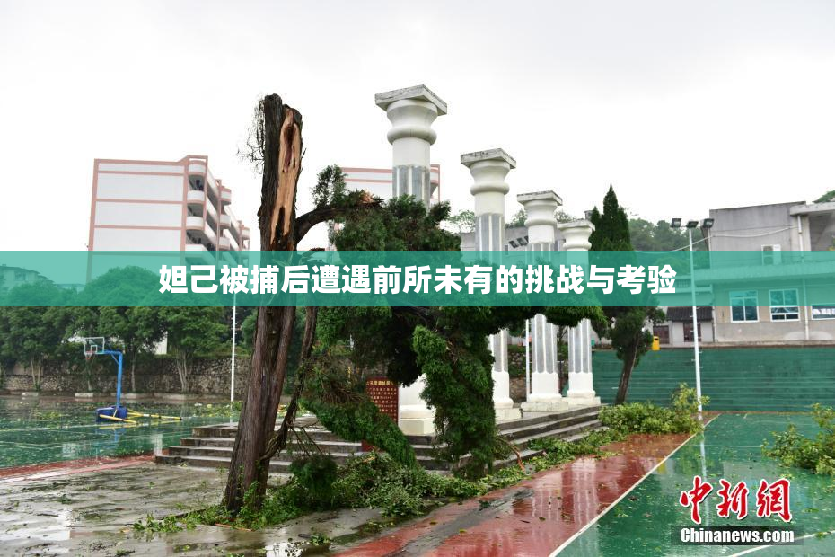 妲己被捕后遭遇前所未有的挑战与考验