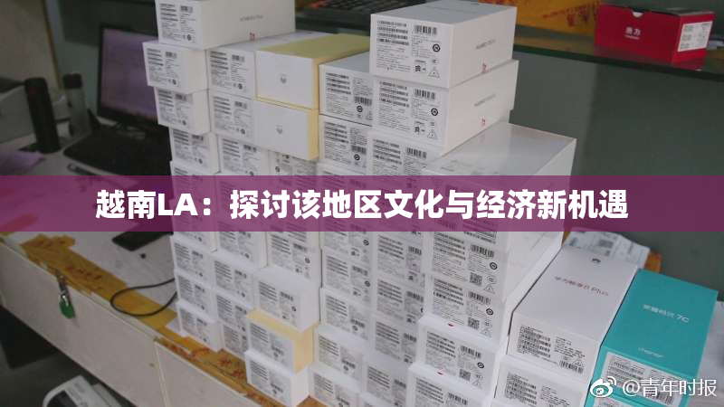 越南LA：探讨该地区文化与经济新机遇