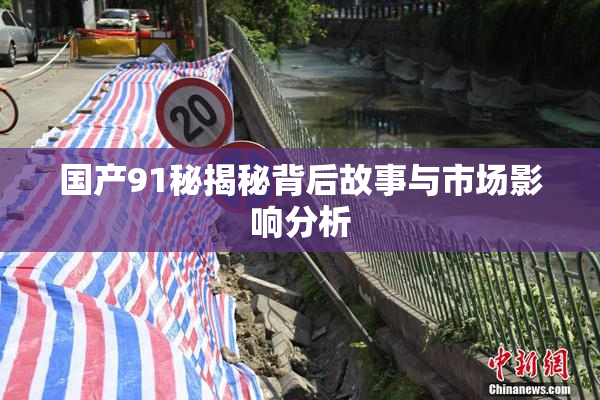 国产91秘揭秘背后故事与市场影响分析