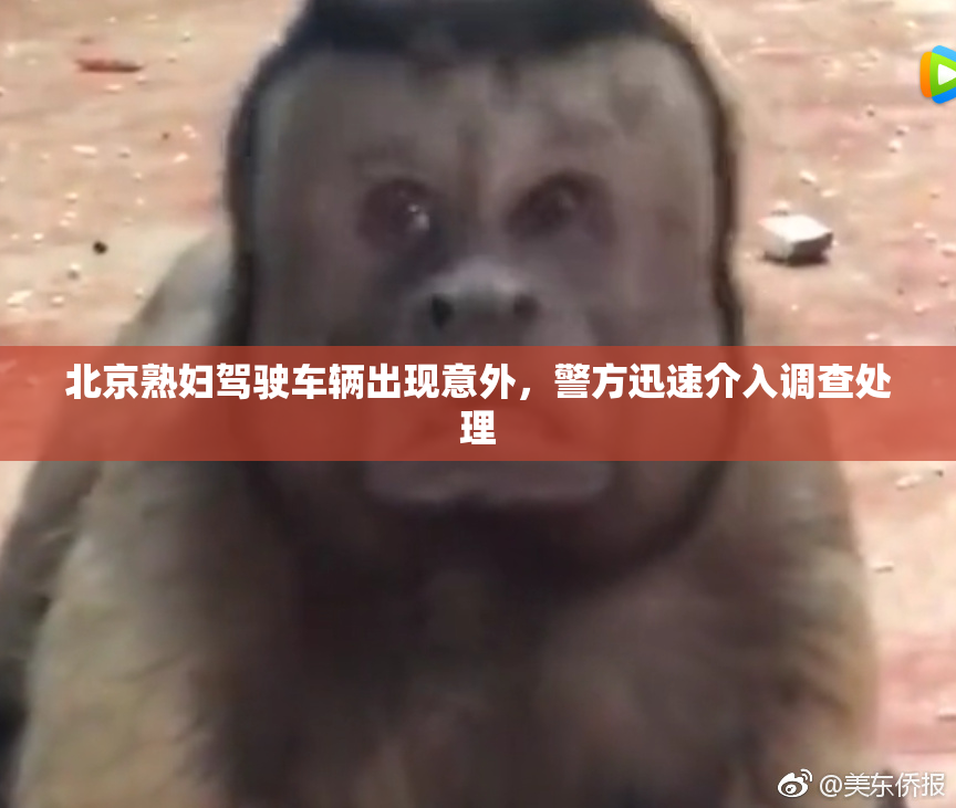 北京熟妇驾驶车辆出现意外，警方迅速介入调查处理