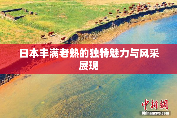 日本丰满老熟的独特魅力与风采展现