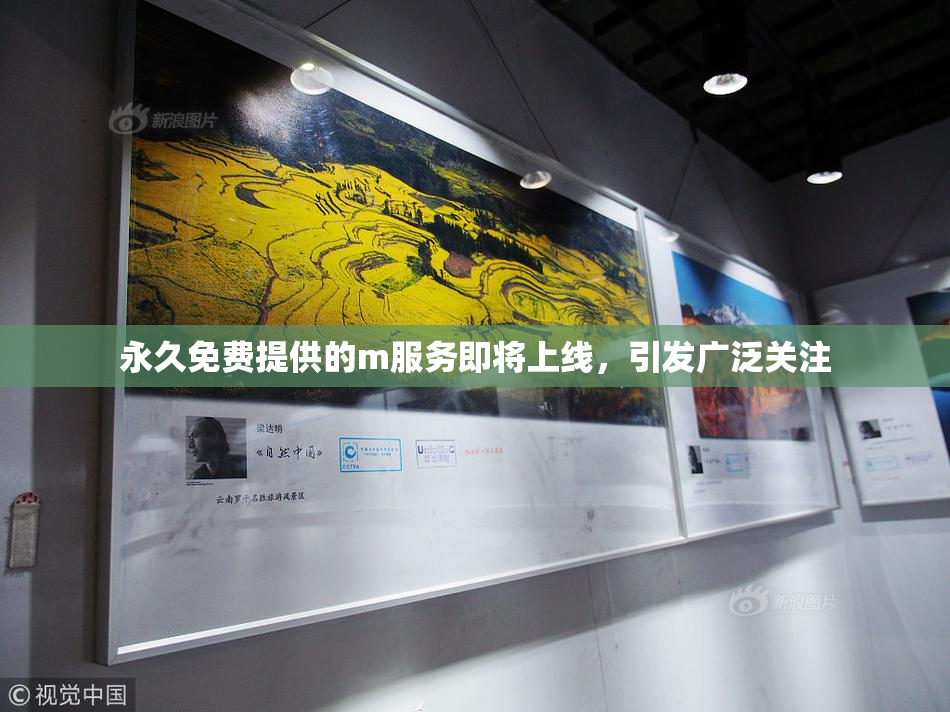 永久免费提供的m服务即将上线，引发广泛关注