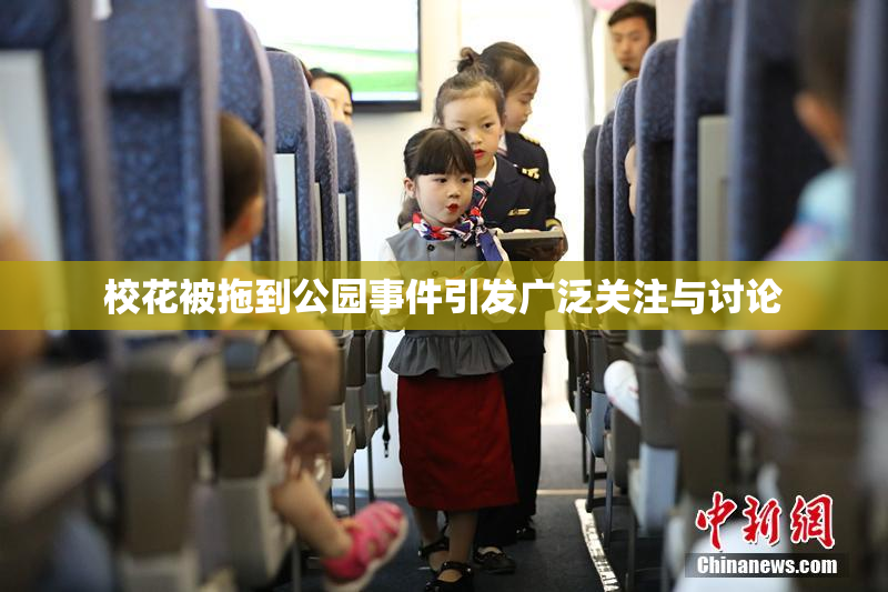 校花被拖到公园事件引发广泛关注与讨论
