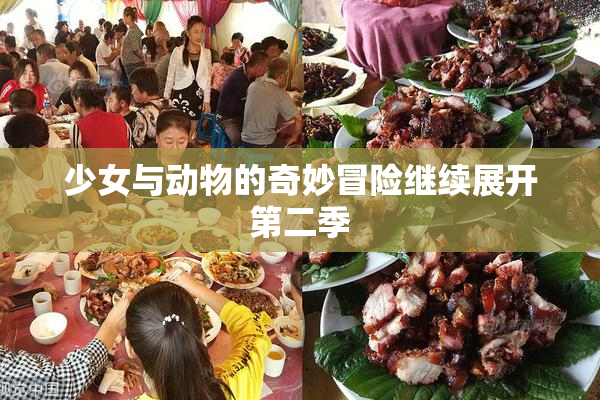 少女与动物的奇妙冒险继续展开第二季