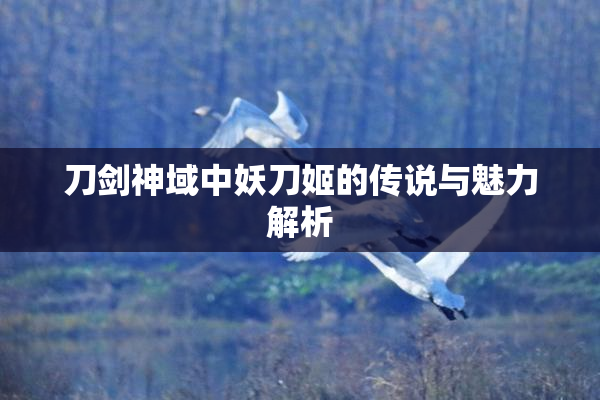 刀剑神域中妖刀姬的传说与魅力解析