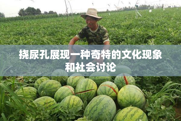 挠尿孔展现一种奇特的文化现象和社会讨论