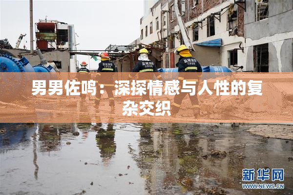 男男佐鸣：深探情感与人性的复杂交织