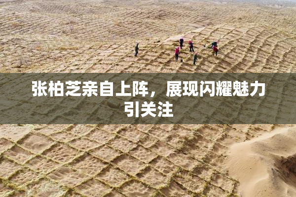 张柏芝亲自上阵，展现闪耀魅力引关注