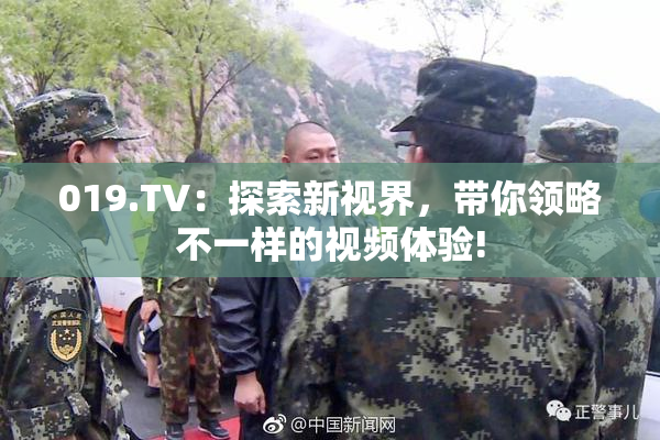019.TV：探索新视界，带你领略不一样的视频体验!