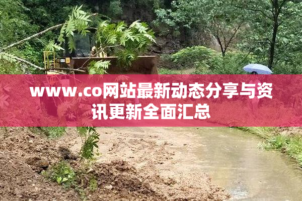 www.co网站最新动态分享与资讯更新全面汇总