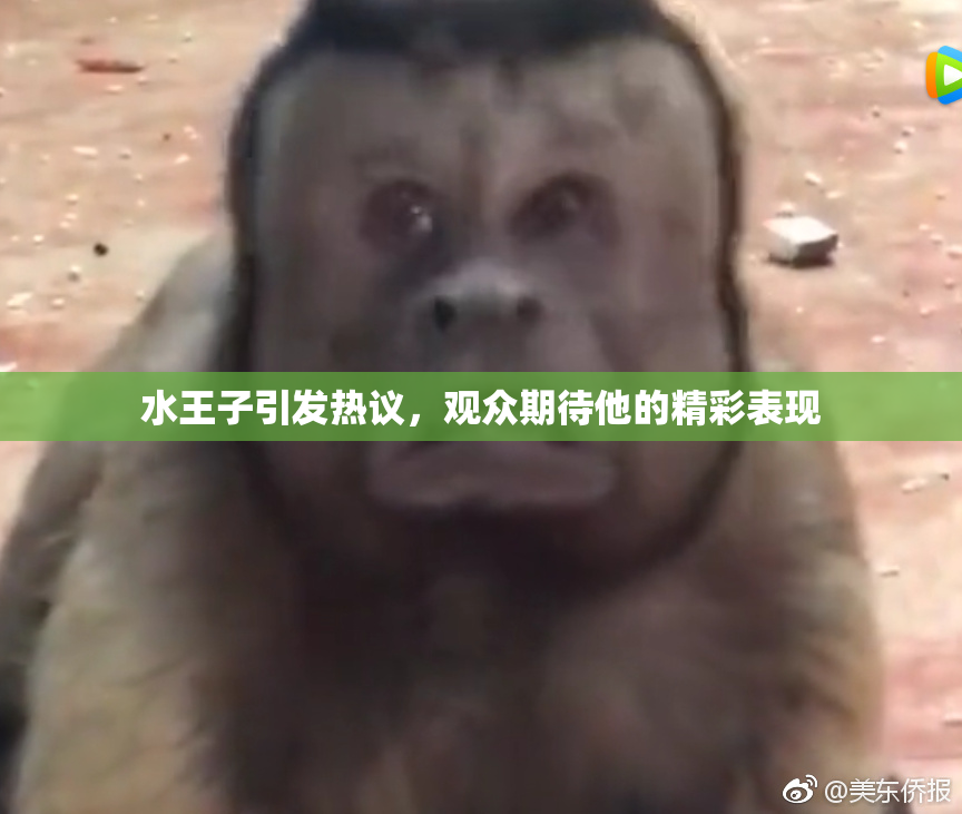 水王子引发热议，观众期待他的精彩表现