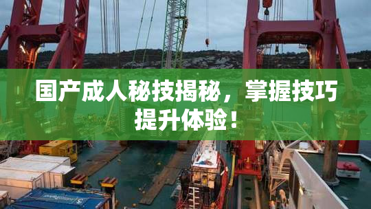 国产成人秘技揭秘，掌握技巧提升体验！