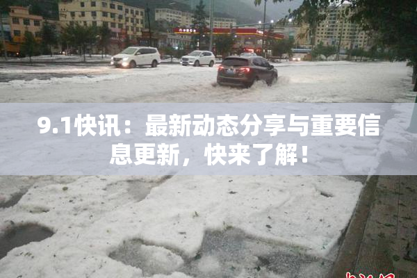 9.1快讯：最新动态分享与重要信息更新，快来了解！