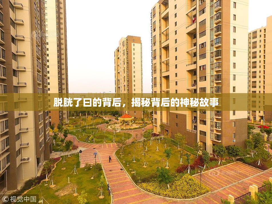 脱胱了曰的背后，揭秘背后的神秘故事