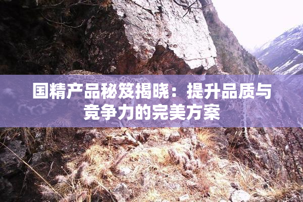 国精产品秘笈揭晓：提升品质与竞争力的完美方案