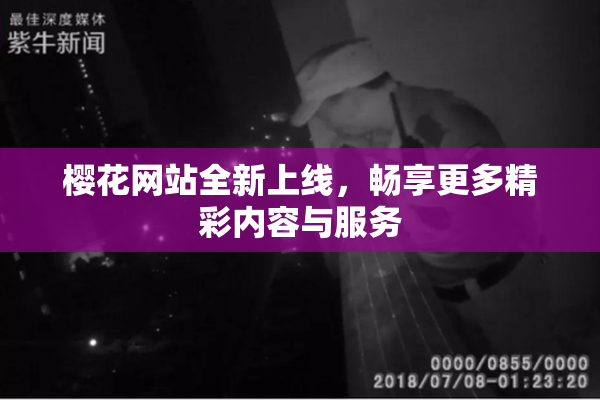 樱花网站全新上线，畅享更多精彩内容与服务