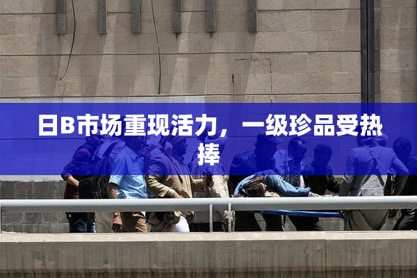日B市场重现活力，一级珍品受热捧