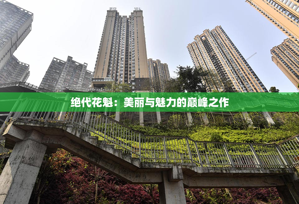 绝代花魁：美丽与魅力的巅峰之作