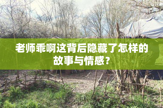 老师乖啊这背后隐藏了怎样的故事与情感？