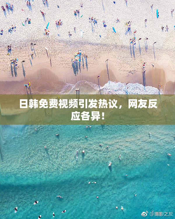 日韩免费视频引发热议，网友反应各异！