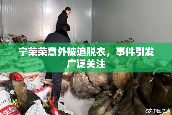 宁荣荣意外被迫脱衣，事件引发广泛关注