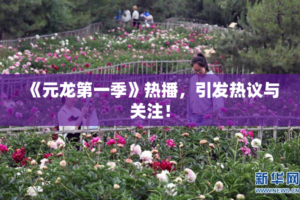 《元龙第一季》热播，引发热议与关注！
