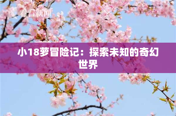 小18萝冒险记：探索未知的奇幻世界