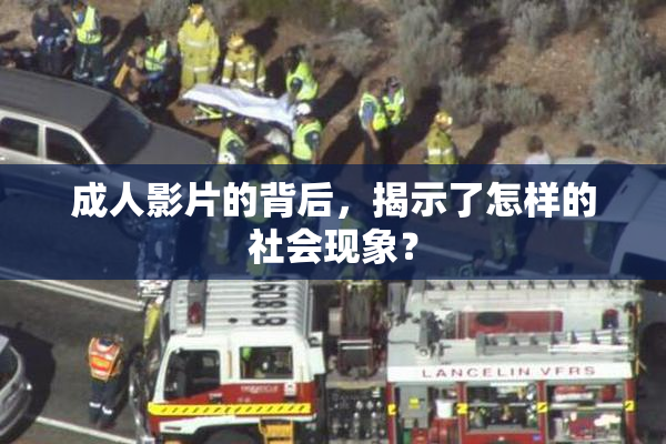 成人影片的背后，揭示了怎样的社会现象？
