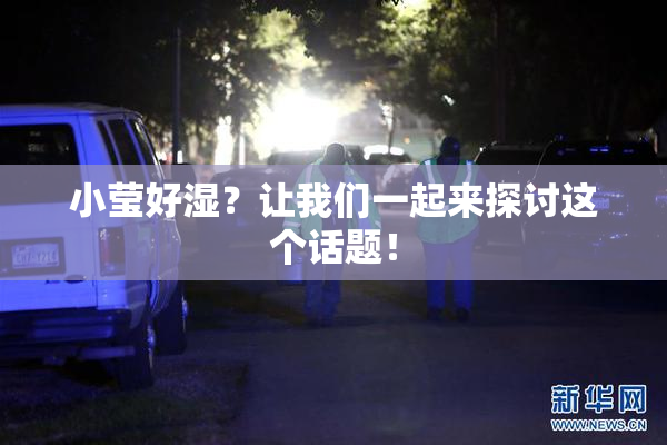 小莹好湿？让我们一起来探讨这个话题！