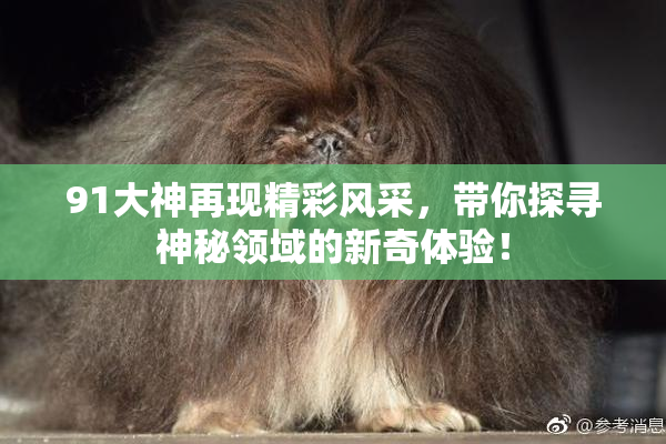 91大神再现精彩风采，带你探寻神秘领域的新奇体验！